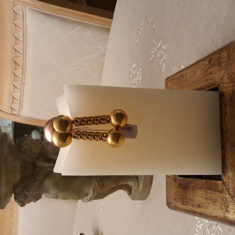 Steve Vaubel earrings